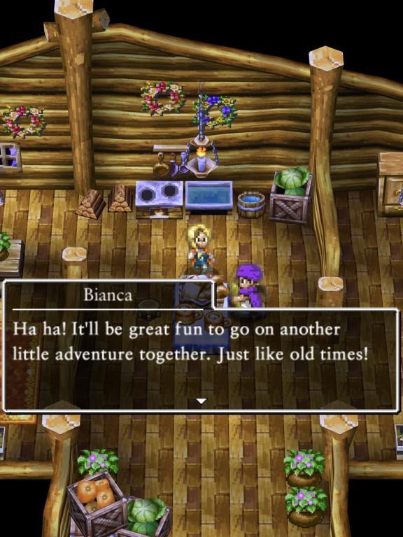 DRAGON QUEST V – Vorschau 4